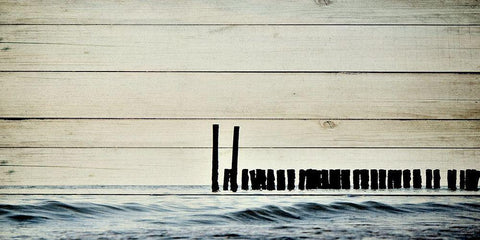 Sea Poles Black Ornate Wood Framed Art Print with Double Matting by Allen, Kimberly
