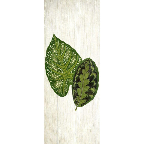 Botanical Greens 1 White Modern Wood Framed Art Print by Allen, Kimberly