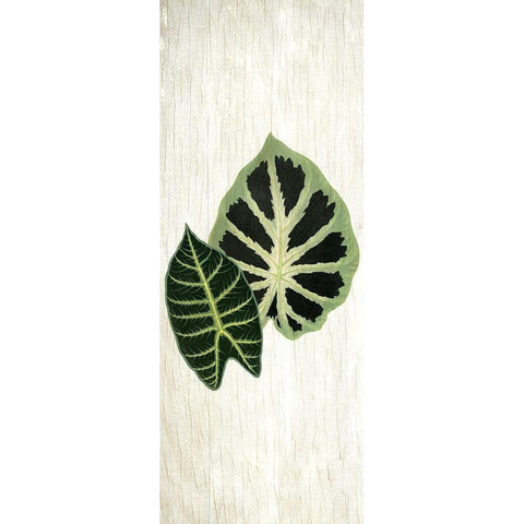 Botanical Greens 2 Black Modern Wood Framed Art Print with Double Matting by Allen, Kimberly