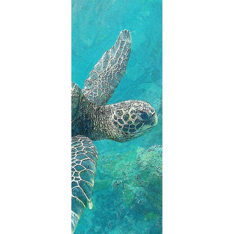 Sea Turtle 1 White Modern Wood Framed Art Print by Allen, Kimberly