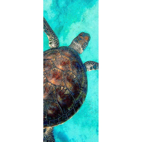 Sea Turtle 2 Black Modern Wood Framed Art Print with Double Matting by Allen, Kimberly