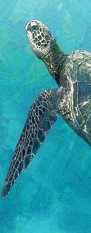 Sea Turtle 3 White Modern Wood Framed Art Print with Double Matting by Allen, Kimberly