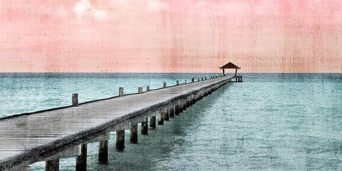 Paradise Pink White Modern Wood Framed Art Print with Double Matting by Allen, Kimberly