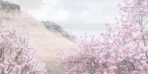 Hillside Pink Black Ornate Wood Framed Art Print with Double Matting by Allen, Kimberly