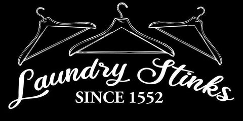 Laundry Stinks Black Ornate Wood Framed Art Print with Double Matting by Allen, Kimberly