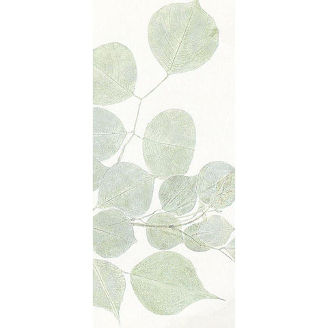 Soft Leaves 3 White Modern Wood Framed Art Print by Allen, Kimberly