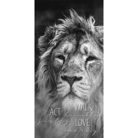 Act Justly Lion Black Modern Wood Framed Art Print with Double Matting by Allen, Kimberly