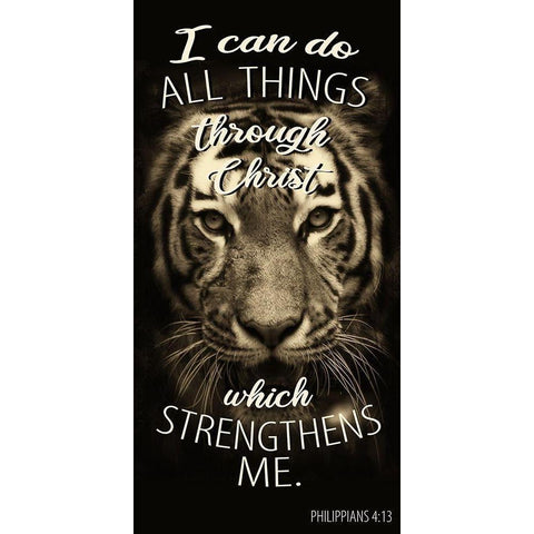 All Things Tiger White Modern Wood Framed Art Print by Allen, Kimberly