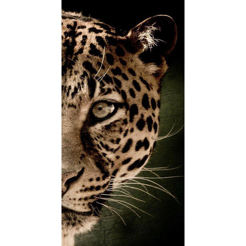 Leo Panel Black Modern Wood Framed Art Print by Allen, Kimberly