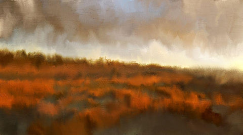 Marshland Black Ornate Wood Framed Art Print with Double Matting by Allen, Kimberly