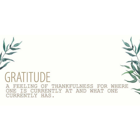 Gratitude Definition Black Modern Wood Framed Art Print with Double Matting by Allen, Kimberly