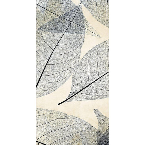 Transparent Leaves 2 White Modern Wood Framed Art Print by Allen, Kimberly