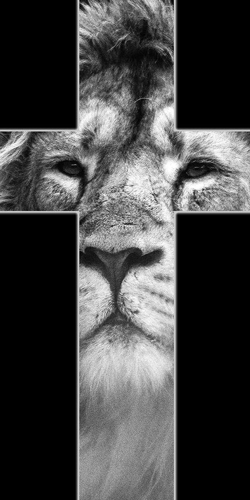 Image Only