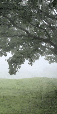 Summer Shades 2 Black Ornate Wood Framed Art Print with Double Matting by Allen, Kimberly