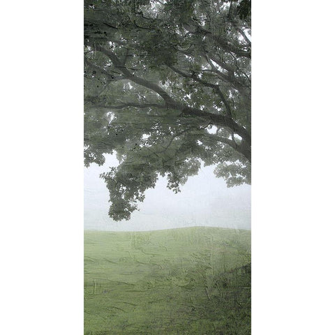 Summer Shades 2 Black Modern Wood Framed Art Print with Double Matting by Allen, Kimberly