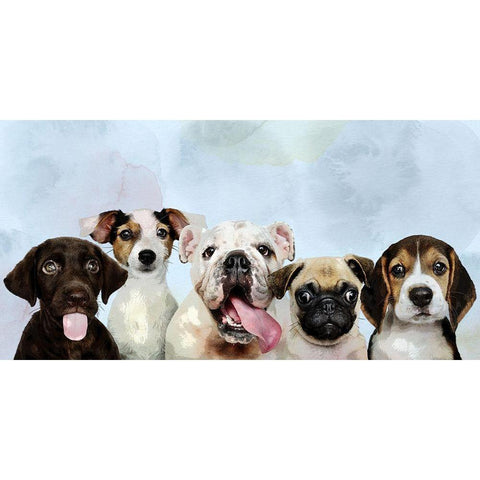 Puppy Portrait Black Modern Wood Framed Art Print by Allen, Kimberly