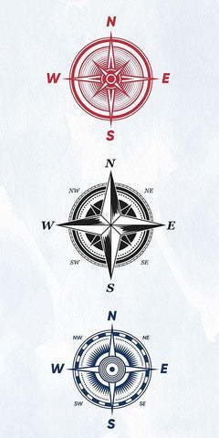 Vintage Compass 2 Black Ornate Wood Framed Art Print with Double Matting by Allen, Kimberly