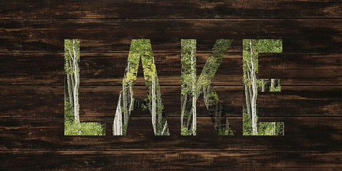 To the Lake White Modern Wood Framed Art Print with Double Matting by Allen, Kimberly