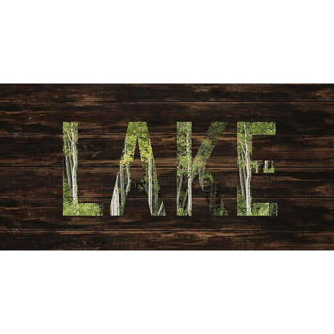To the Lake Gold Ornate Wood Framed Art Print with Double Matting by Allen, Kimberly