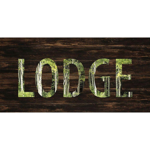 To the Lodge White Modern Wood Framed Art Print by Allen, Kimberly