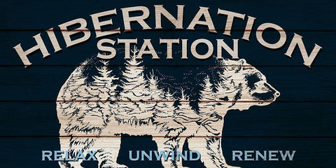 Hibernation Station White Modern Wood Framed Art Print with Double Matting by Allen, Kimberly