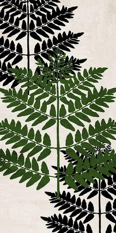 Pressed Ferns Panel 1 White Modern Wood Framed Art Print with Double Matting by Allen, Kimberly