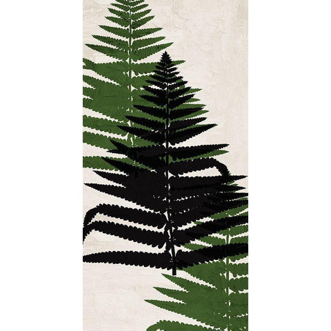 Pressed Ferns Panel 2 Black Modern Wood Framed Art Print with Double Matting by Allen, Kimberly