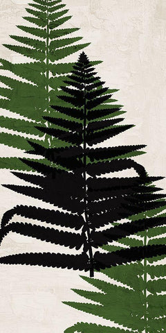 Pressed Ferns Panel 2 Black Ornate Wood Framed Art Print with Double Matting by Allen, Kimberly