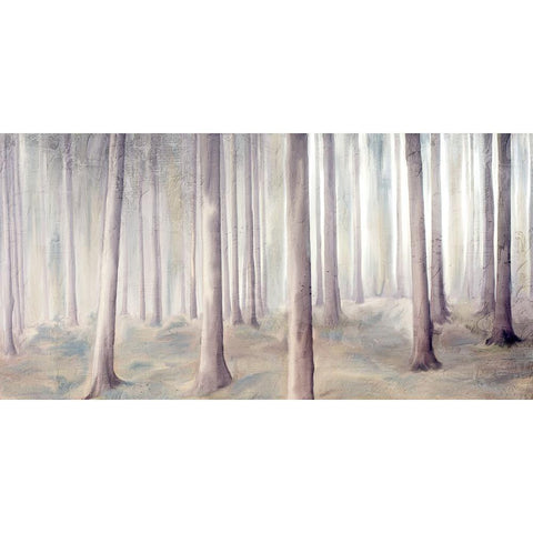Forest Dreams White Modern Wood Framed Art Print by Allen, Kimberly