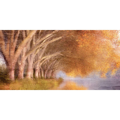 Quiet Autumn Pond Black Modern Wood Framed Art Print by Allen, Kimberly