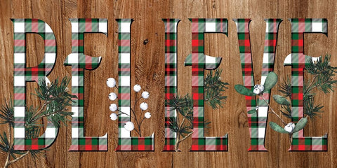 Believe Plaid Black Ornate Wood Framed Art Print with Double Matting by Allen, Kimberly
