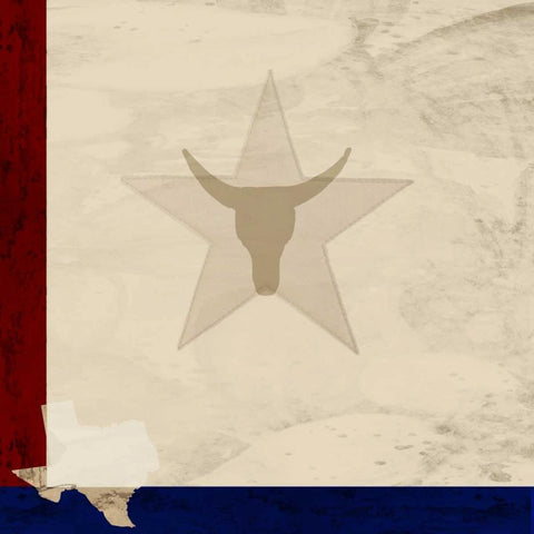 Stars and Longhorns Black Modern Wood Framed Art Print with Double Matting by Allen, Kimberly