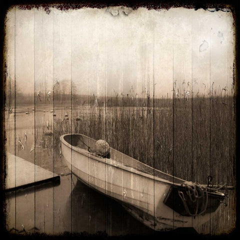 Stranded Morning Black Ornate Wood Framed Art Print with Double Matting by Allen, Kimberly