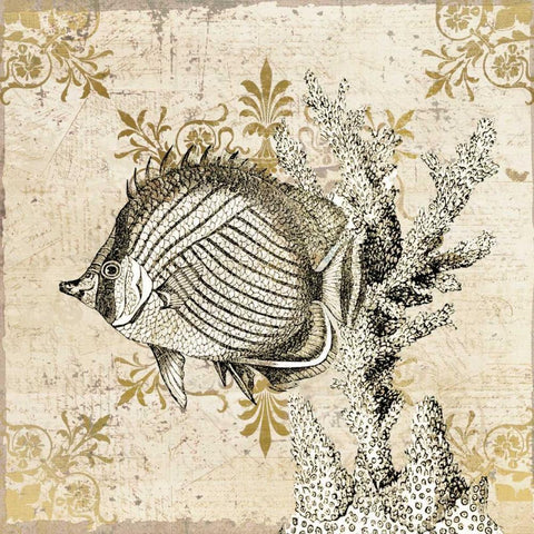 Marine Life 1 White Modern Wood Framed Art Print with Double Matting by Allen, Kimberly