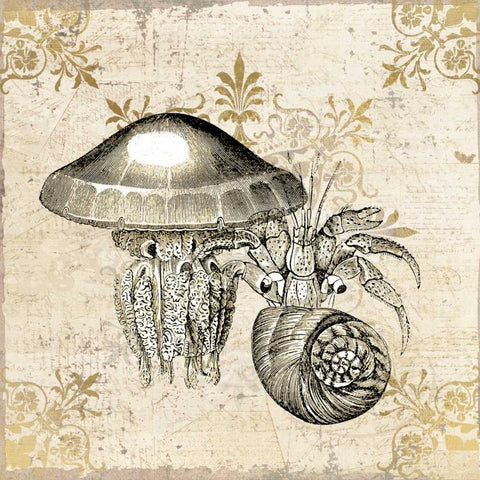 Marine Life White Modern Wood Framed Art Print with Double Matting by Allen, Kimberly