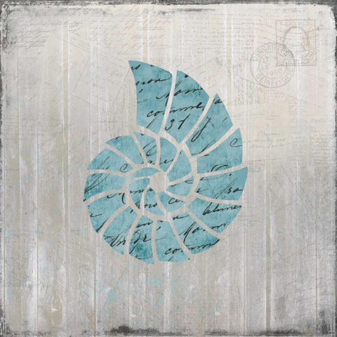 Seashell 2 Black Modern Wood Framed Art Print by Allen, Kimberly