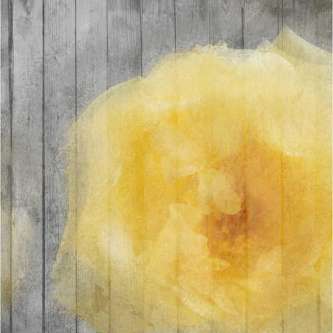 Yellow Bloom Simple White Modern Wood Framed Art Print by Allen, Kimberly