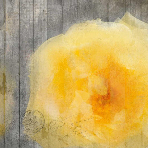 Yellow Bloom Black Ornate Wood Framed Art Print with Double Matting by Allen, Kimberly