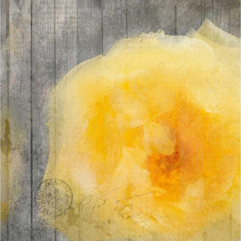 Yellow Bloom Black Modern Wood Framed Art Print with Double Matting by Allen, Kimberly