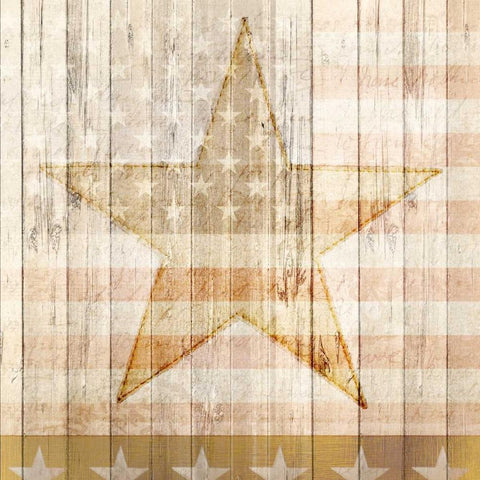 American Stars Black Modern Wood Framed Art Print with Double Matting by Allen, Kimberly