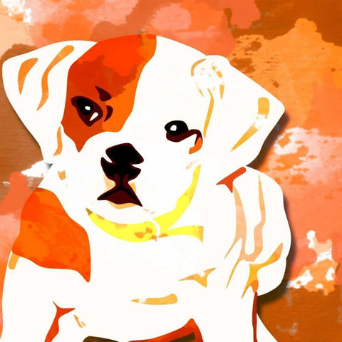 Dog in Color 2 Black Modern Wood Framed Art Print by Allen, Kimberly