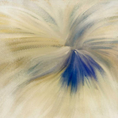 Blue Bloom White Modern Wood Framed Art Print with Double Matting by Allen, Kimberly