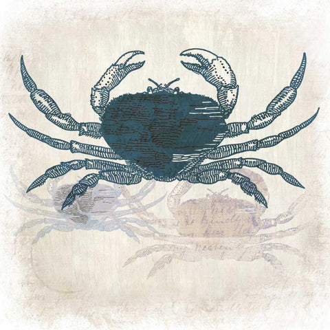 Crab Coast Vision White Modern Wood Framed Art Print with Double Matting by Allen, Kimberly