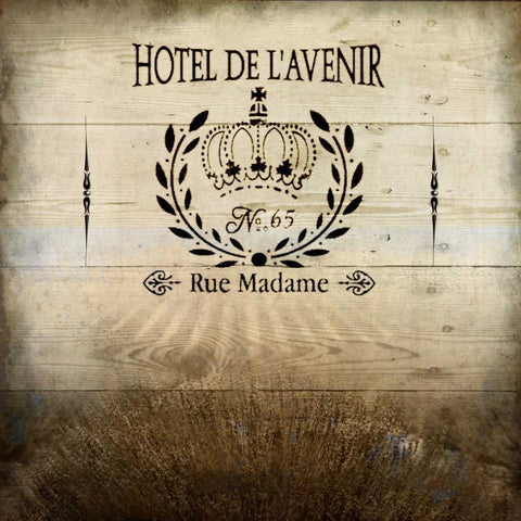 Hotel De Lavenir Black Ornate Wood Framed Art Print with Double Matting by Allen, Kimberly