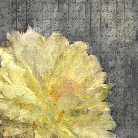 In Nature Yellow Black Modern Wood Framed Art Print by Allen, Kimberly