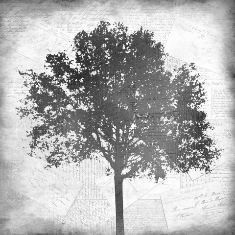 Tree Silhouette Black and White 1 Black Modern Wood Framed Art Print by Allen, Kimberly