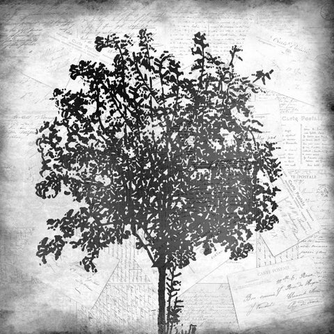 Tree Silhouette Black and White 2 White Modern Wood Framed Art Print by Allen, Kimberly