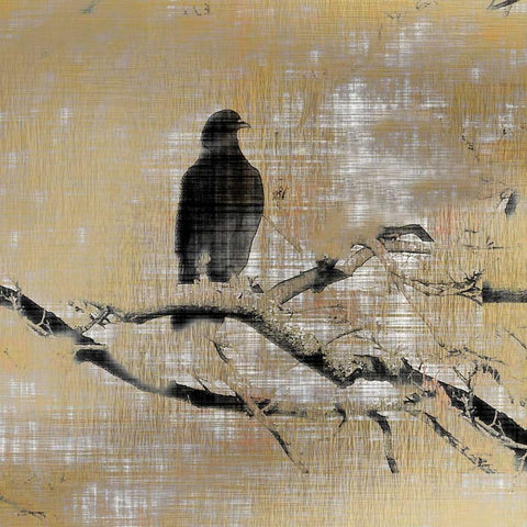 Black Birds 3 Black Ornate Wood Framed Art Print with Double Matting by Allen, Kimberly