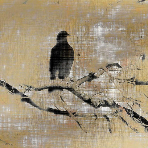 Black Birds 3 Black Modern Wood Framed Art Print with Double Matting by Allen, Kimberly