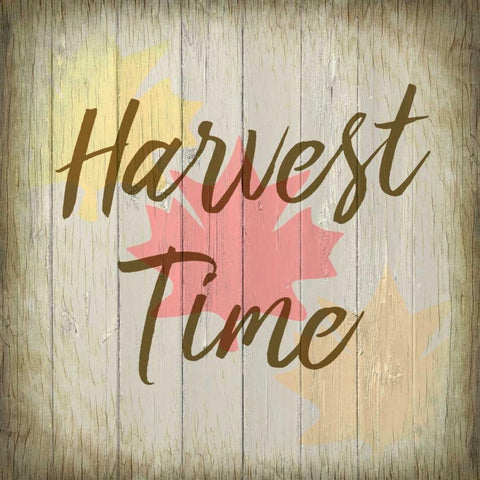 Harvest Time Black Modern Wood Framed Art Print with Double Matting by Allen, Kimberly